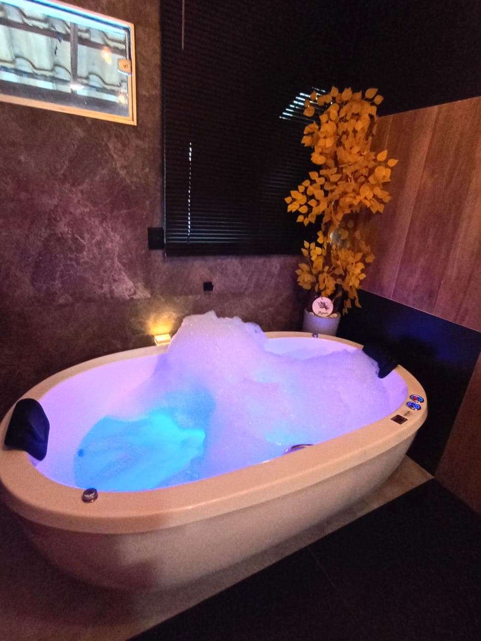 Suíte Deluxe com banheira de hidromassagem - Imagem 4